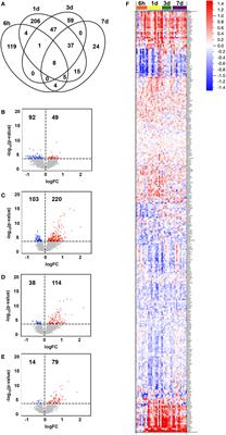 Molecular Signatures of a TLR4 Agonist-Adjuvanted HIV-1 Vaccine Candidate in Humans